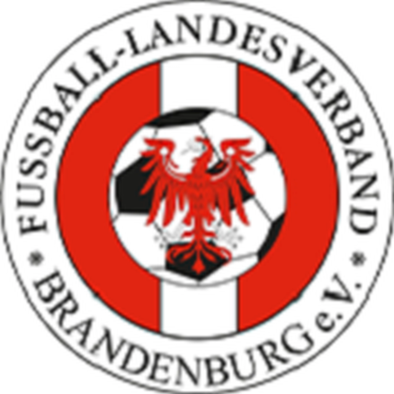 fussball landdesverband logo