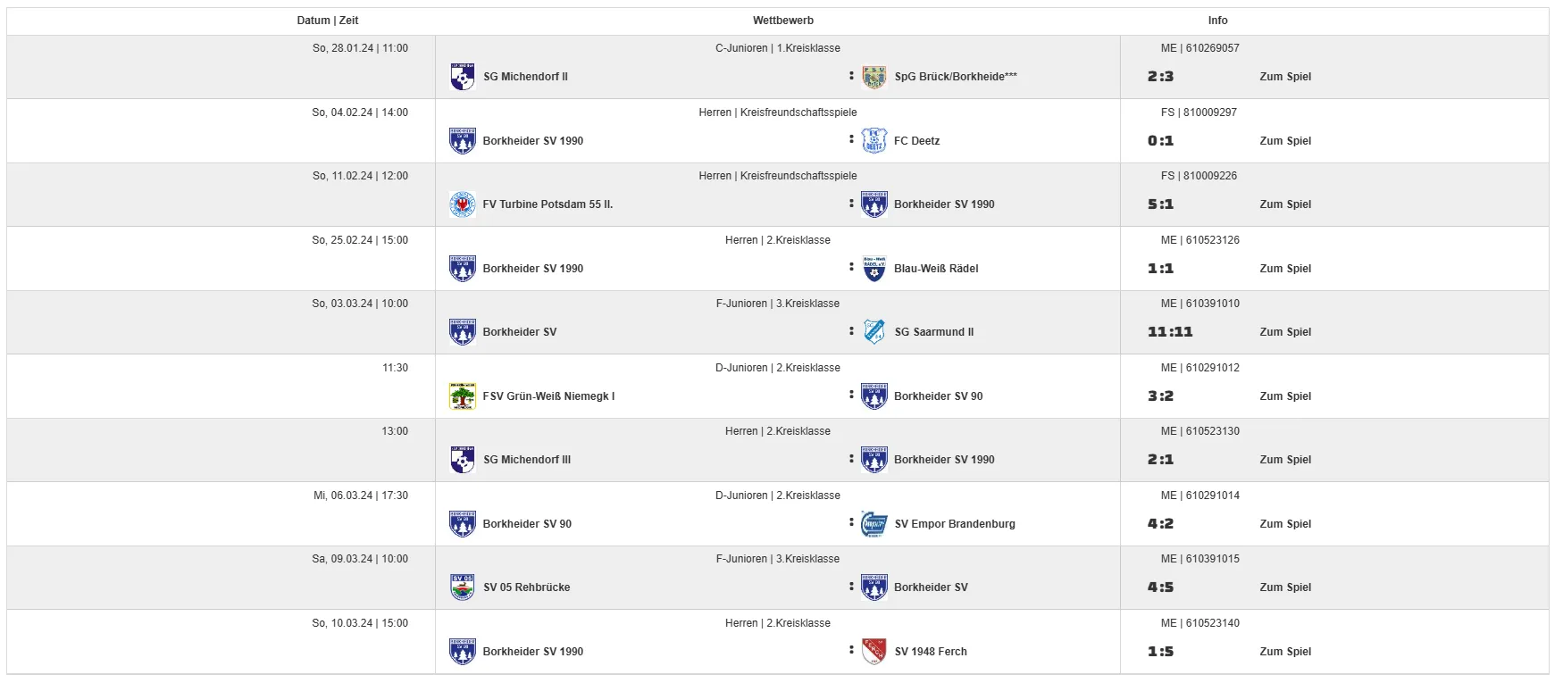 Fußball von Borkheide SV 1990 e. V.