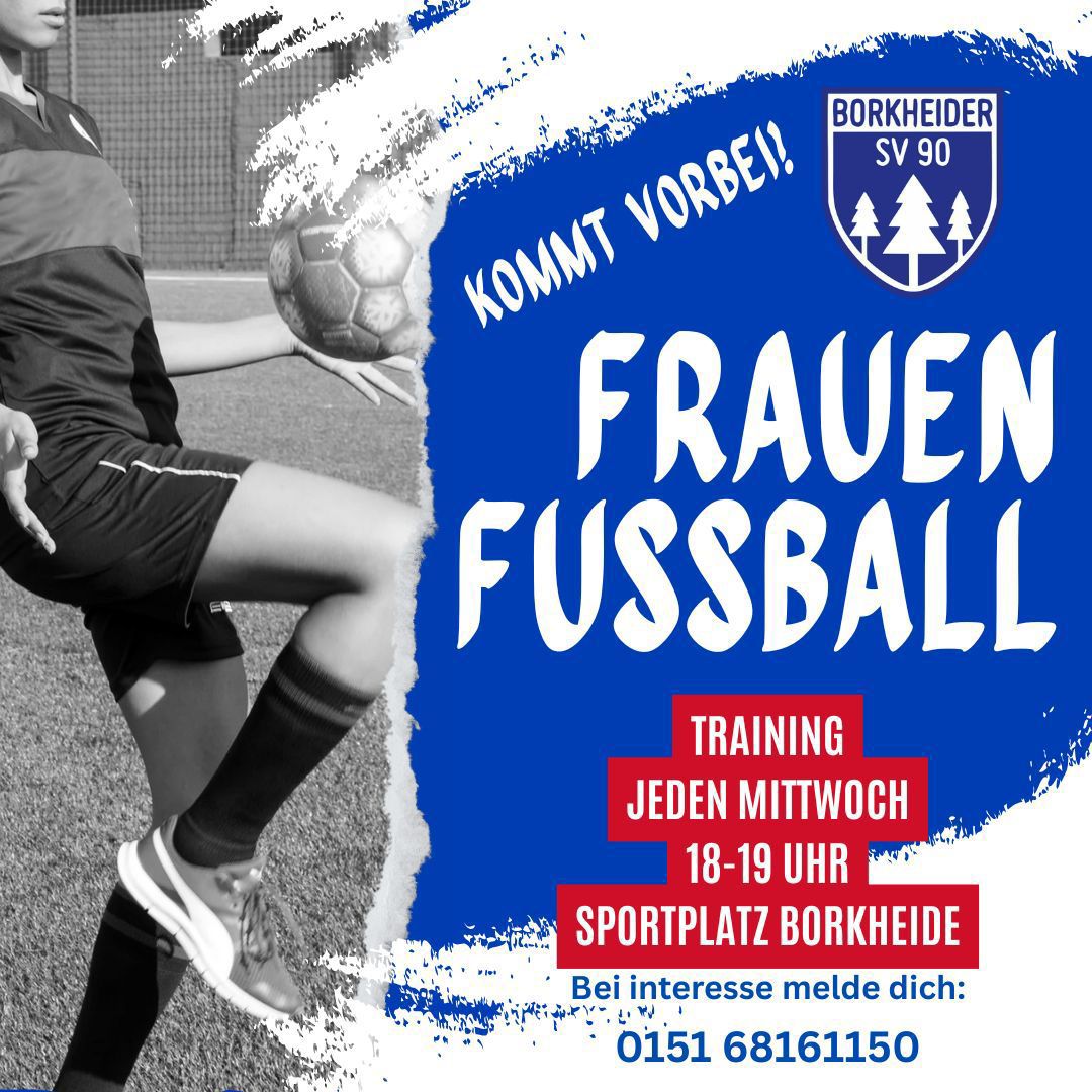 Fußball von Borkheide SV 1990 e. V.