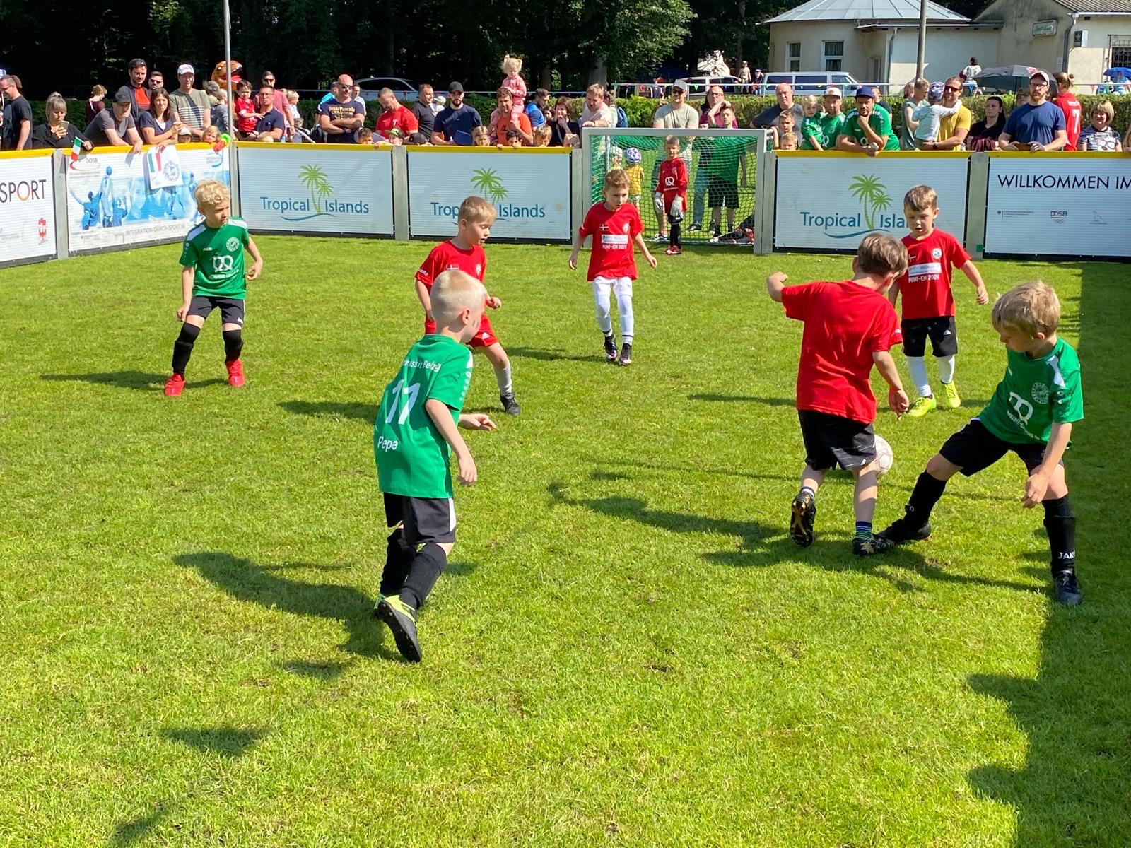 Fußball von Borkheide SV 1990 e. V.